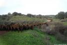 Imagen galeria 6